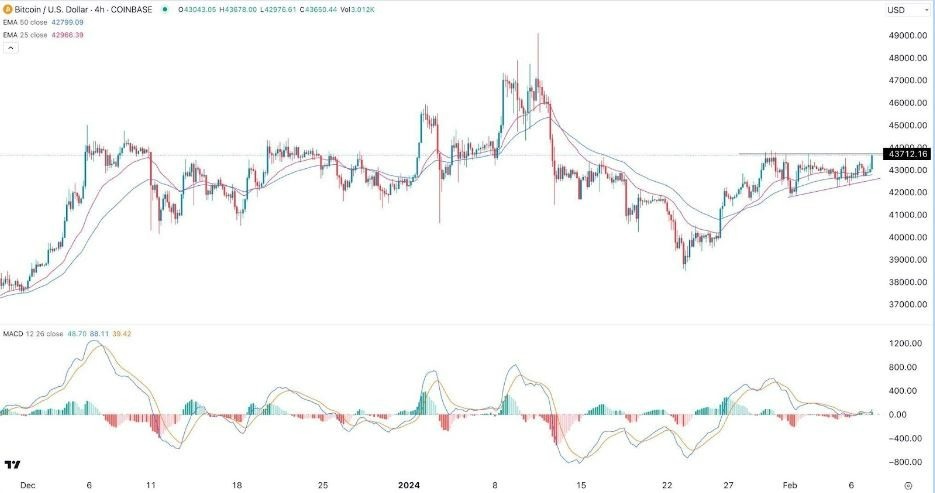 Convert BTC to USD: Bitcoin to United States Dollar