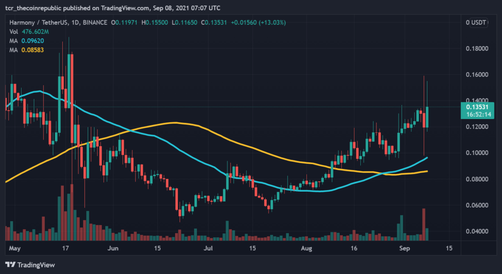 What Happened to OneCoin, the $4 Billion Crypto Ponzi Scheme?