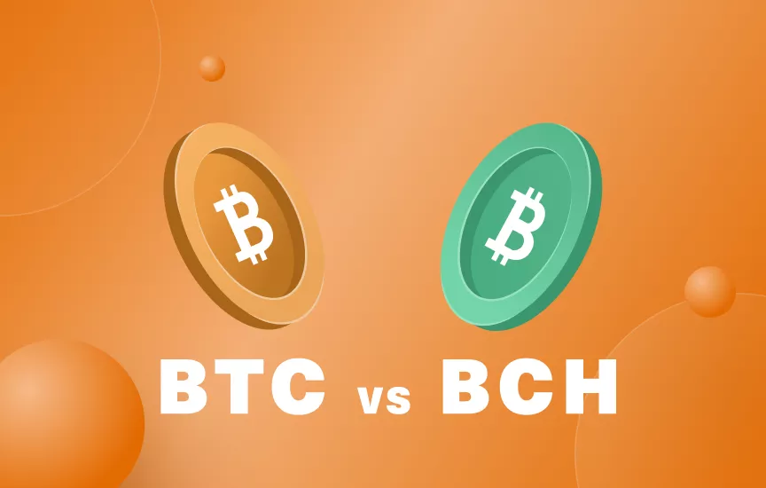 How Does Bitcoin Cash Work? BCH and Electronic Cash | Gemini