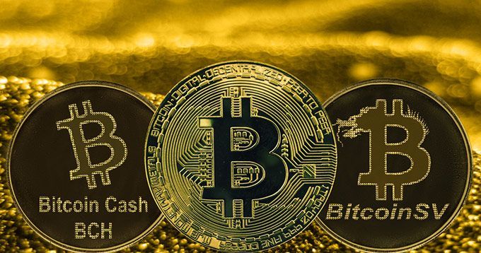 Bitcoin vs Bitcoin Cash – Forbes Advisor Australia