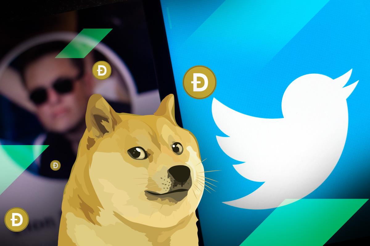 Dogecoin surges after Twitter accepts Musk's buyout offer