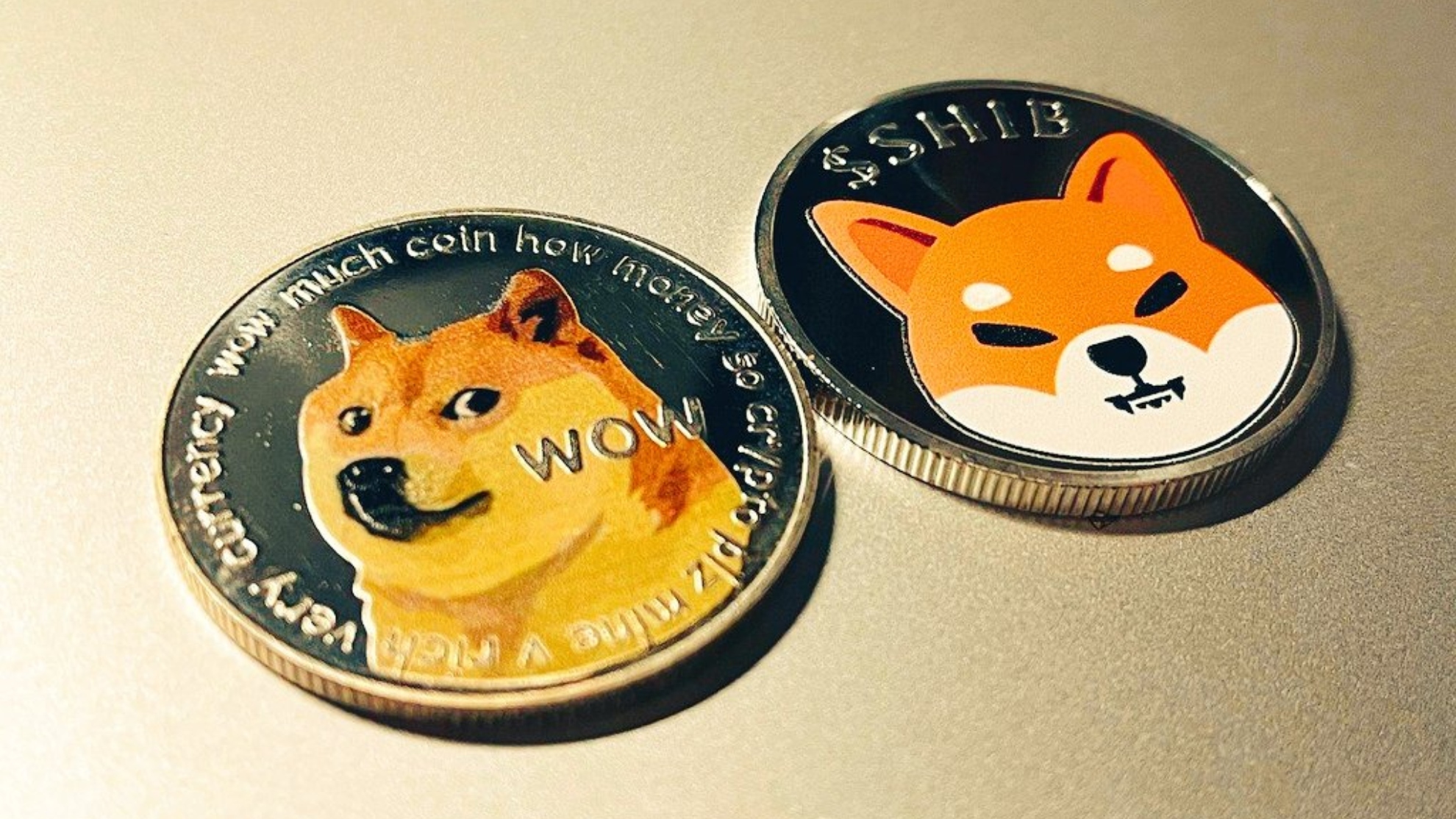 Dogecoin & Shiba Inu Differences: The Meme Coin Showdown