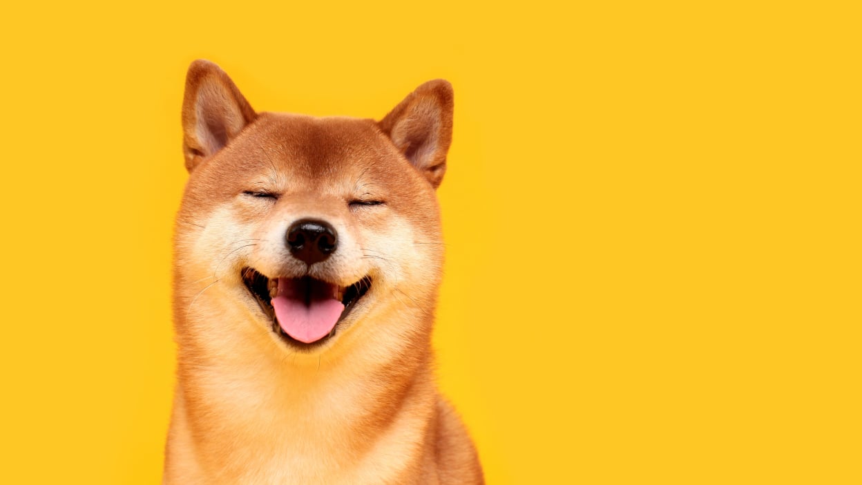 Dogecoin Price | DOGE Price index, Live chart & Market cap | OKX