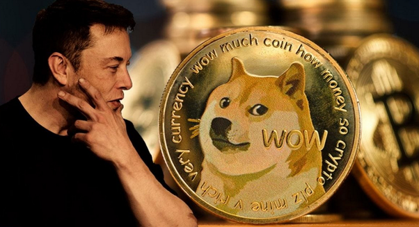 Community currency represents DOGE: Meme is affecting investment logic-web3资讯-ODAILY