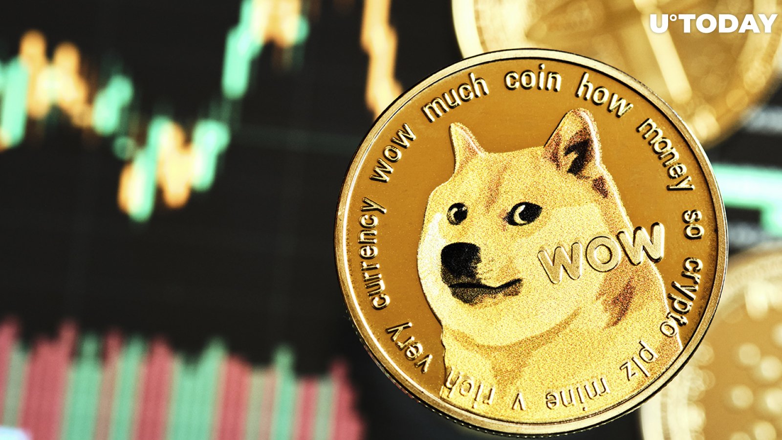 Dogecoin's Community Expands Rapidly with Over , New Wallets in Just Two Weeks ⋆ ZyCrypto