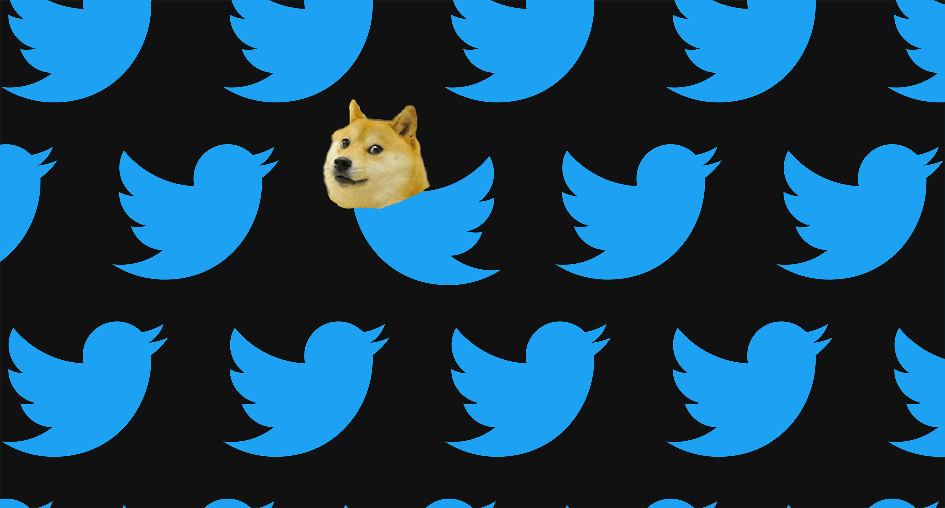 Elon Musk changed the Twitter logo to the Dogecoin symbol