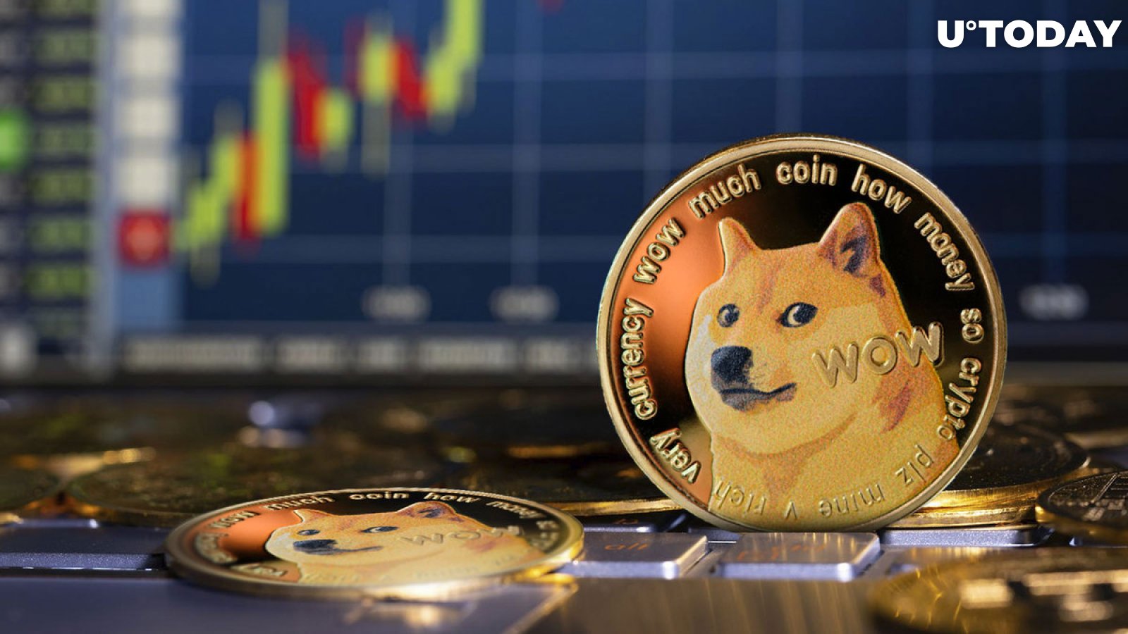 Is Dogecoin (DOGE) About To Start A Bull Run? | Disruption Banking