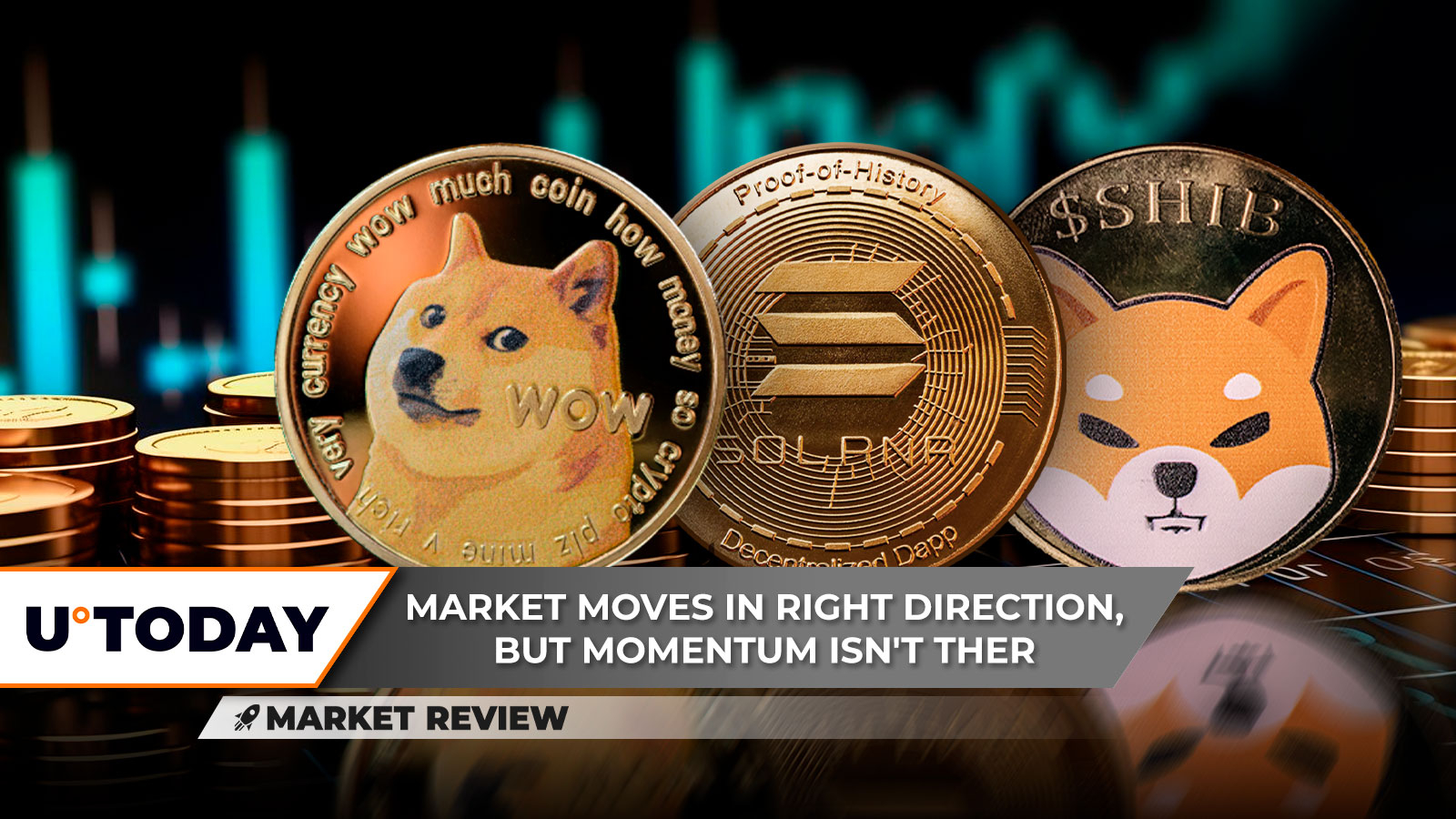 Dogecoin Price (DOGE INR) | Dogecoin Price in India Today & News (2nd March ) - Gadgets 