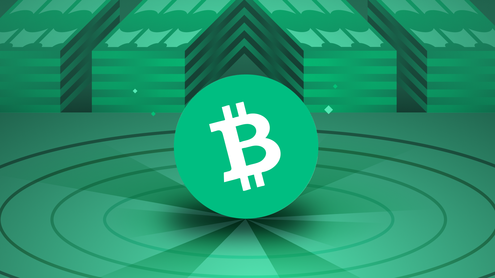 Bitcoin Cash - CoinDesk