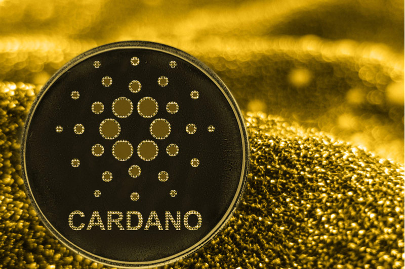 Cardano Analyst Forecasts Rocket Launch as ADA Surges 14% Coin Edition