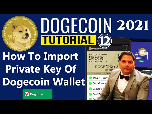 Dogecoin Core wallet: Fast Syncing, Address, Peers - Full Guide