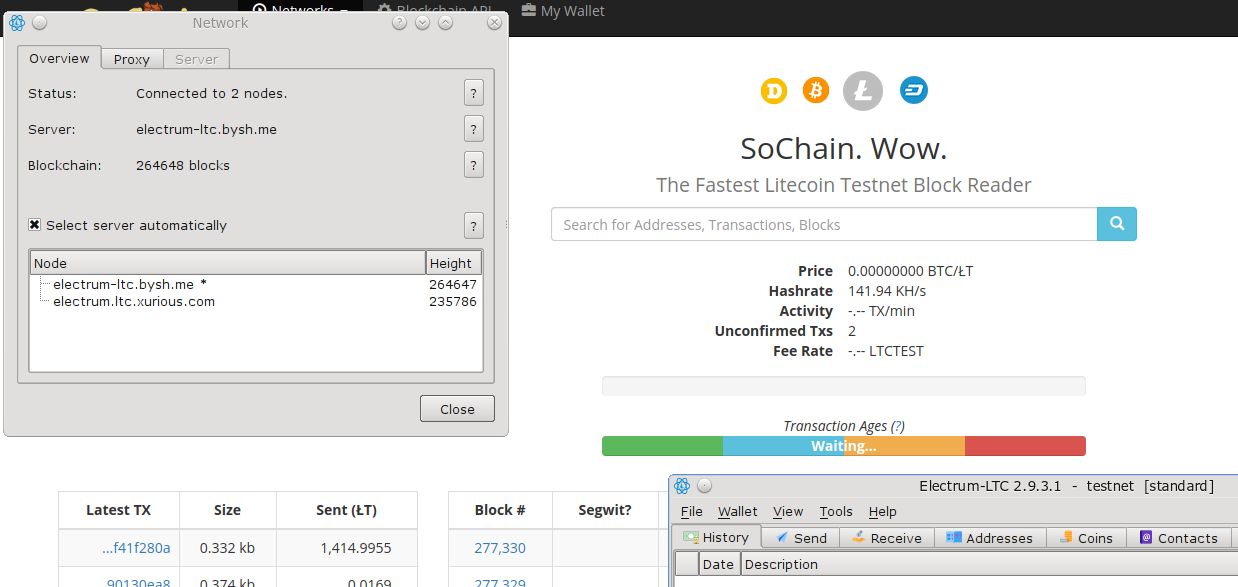 Electrum-LTC Portable Dev Test 1 | 1001fish.ru