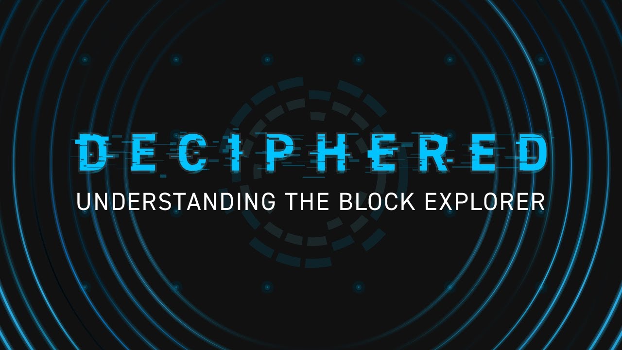 What is A Block Explorer? Everything You Need to Know