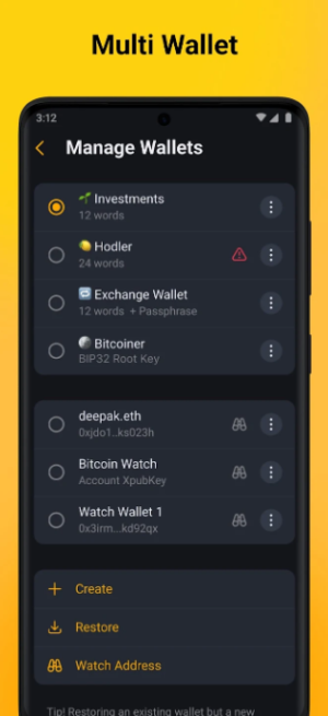 The Best Golem Wallets: Detailed List and Main Features