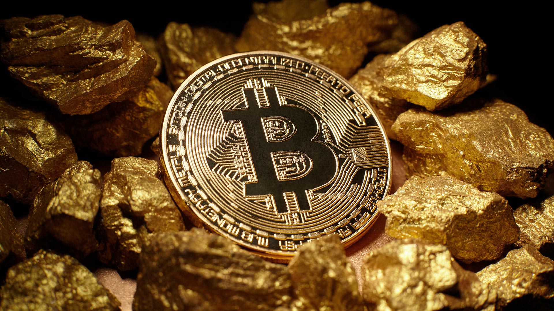 Buy Bitcoin Gold (BTG) with Credit or Debit Card | Guarda