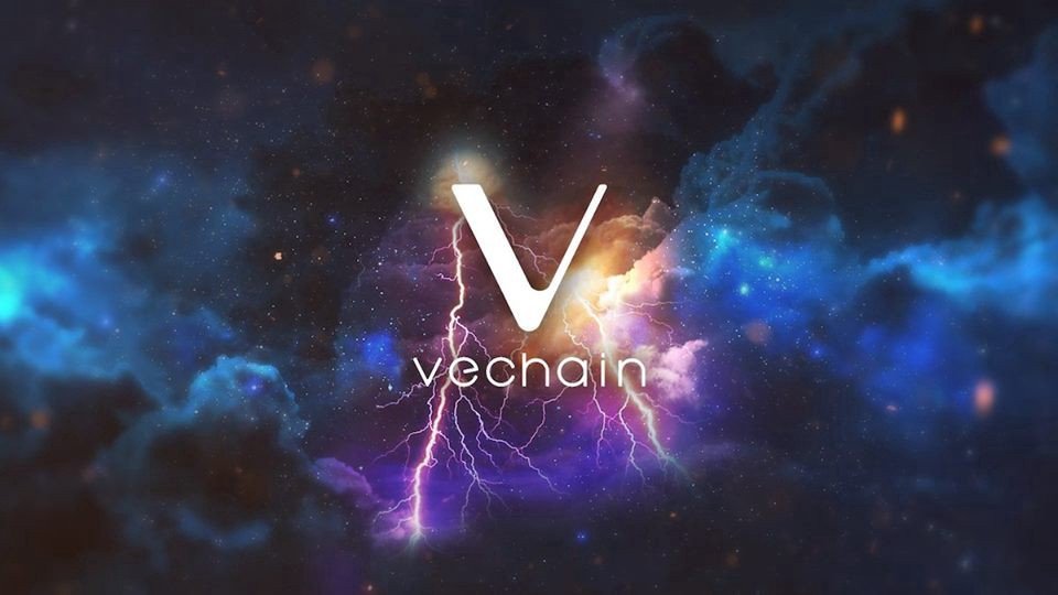 VeChain - Cryptocurrencies | 1001fish.ru