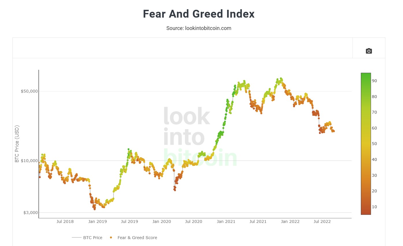 Crypto Fear & Greed Index - Bitcoin Sentiment - 1001fish.ru