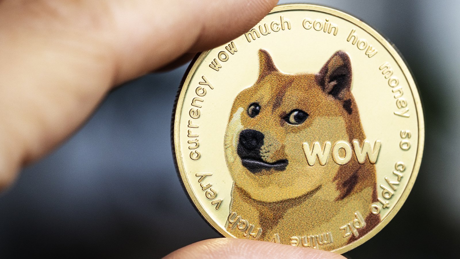 Dogecoin Is a Big Deal