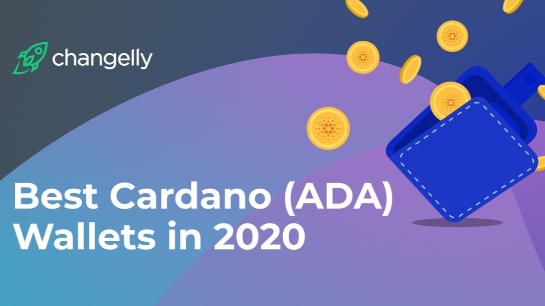 Cardano adds 50, wallets in January as $ billion floods ADA's market cap