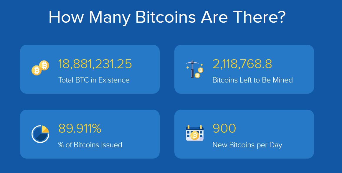 The Biggest BTC Whales: Who Owns the Most Bitcoin?