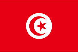 Exchange Tether ERC20 (USDT) to Cash USD in Tunis (Tunisia)  where is the best exchange rate?