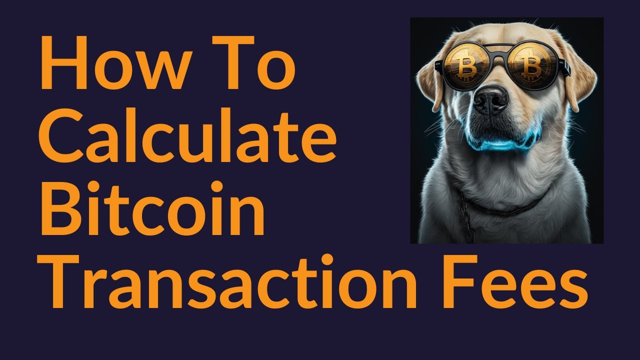 How to Calculate Bitcoin Transaction Fees? — Teletype