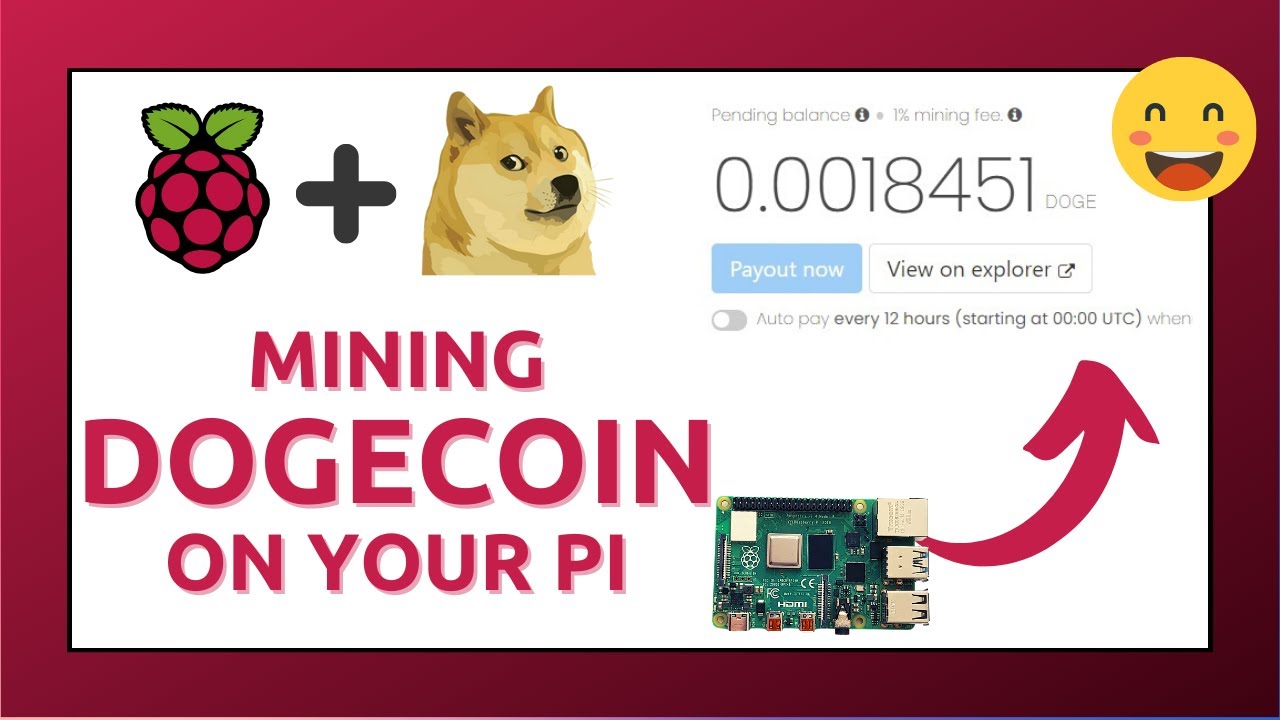 Raspberry Pi4 (RPI4) Dogecoin Node With Doge Stats : 3 Steps - Instructables