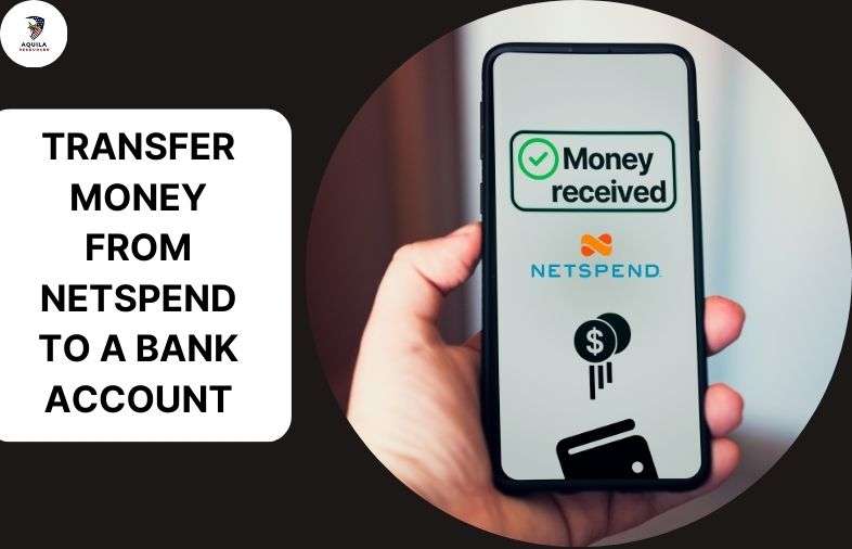 How To Transfer Money From Netspend To Bank Account? (4 Easy Ways) - AiM Tutorials