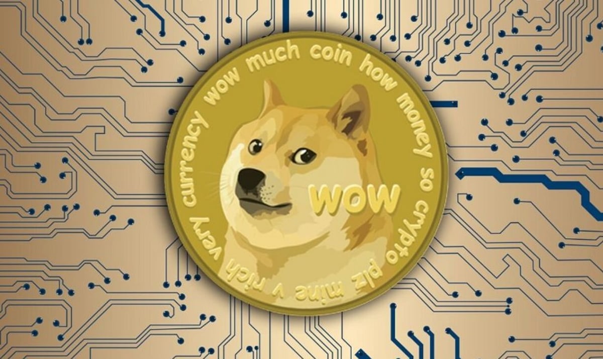 Doge Coin to the Moon - Black Glossy Mug – MyHackerTech