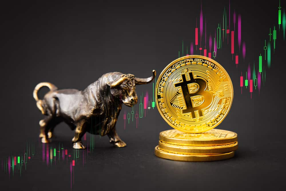 How a Crypto Bull Market May Play Out, According to Top YouTuber