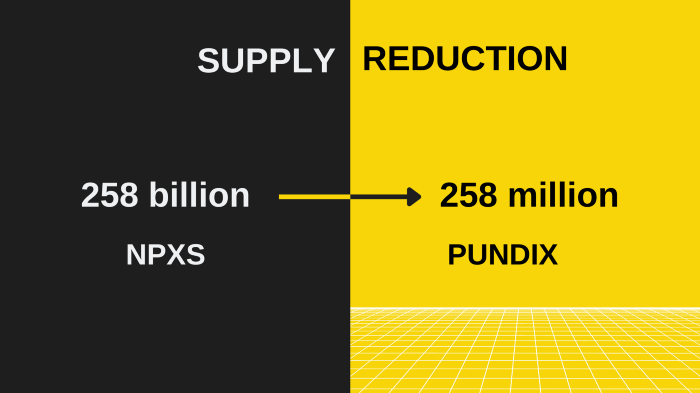 Pundi X Coin Review: Should You Invest in the NPXS Token? - Coindoo