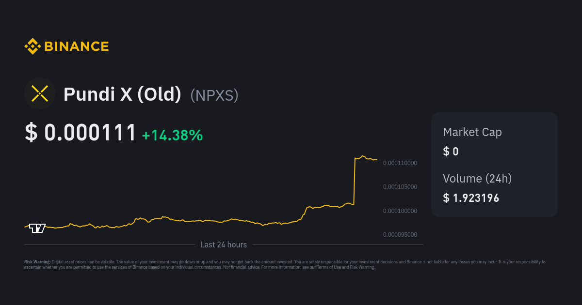 What is Pundi X (NPXS) Cryptocurrency About?