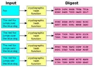 How to block a file with SHA1, SHA or MD5 hash in NGFW