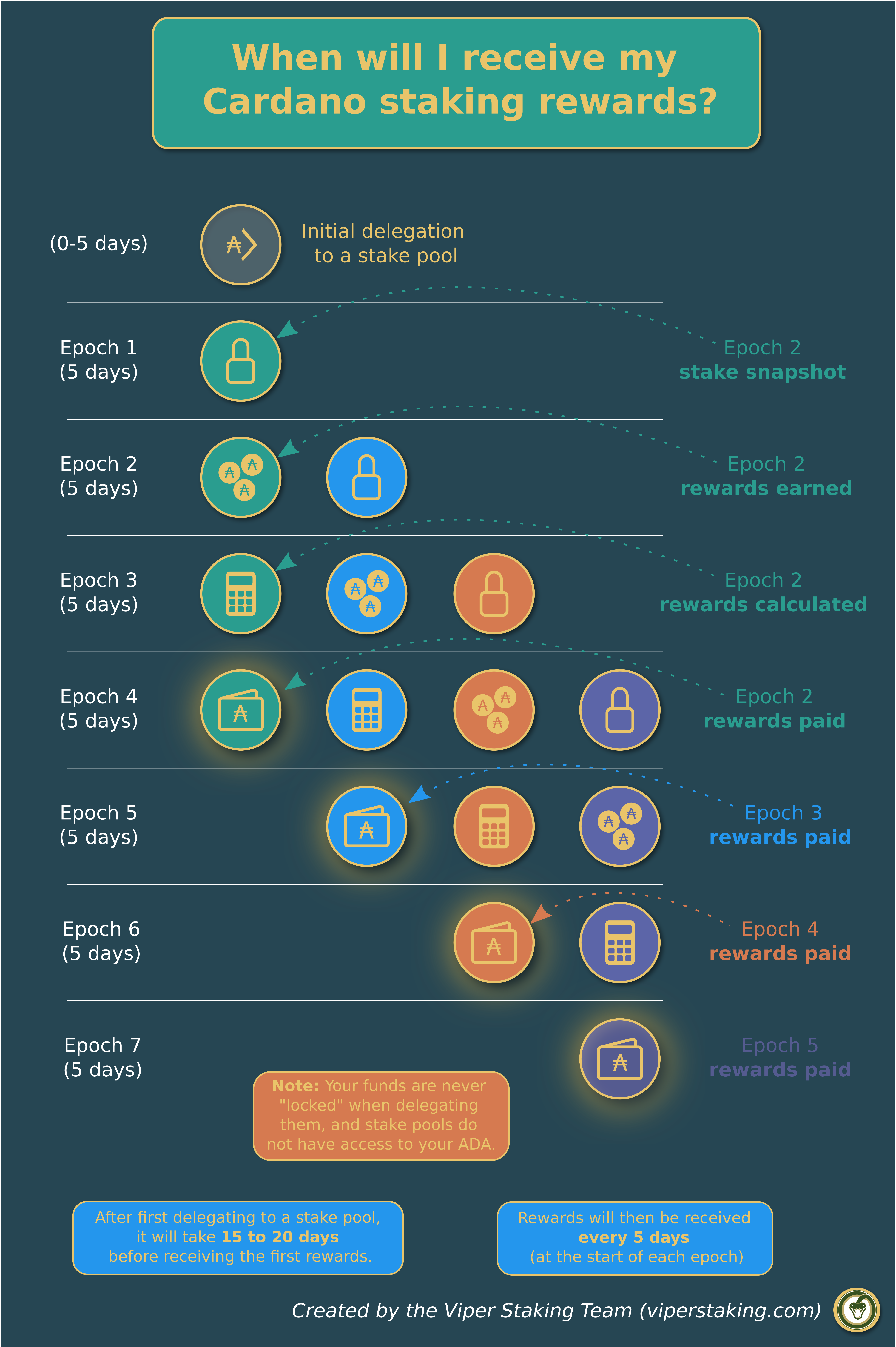 Cardano ADA Staking | Track Your Rewards