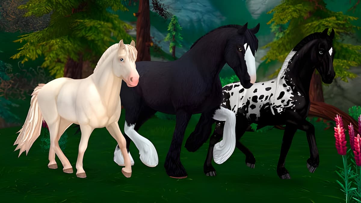 FREE Star Coins! Use code: SUMMERSC4U | Star Stable