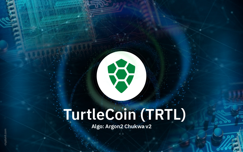 TRTL Coin: what is TurtleCoin? Crypto token analysis and Overview | 1001fish.ru