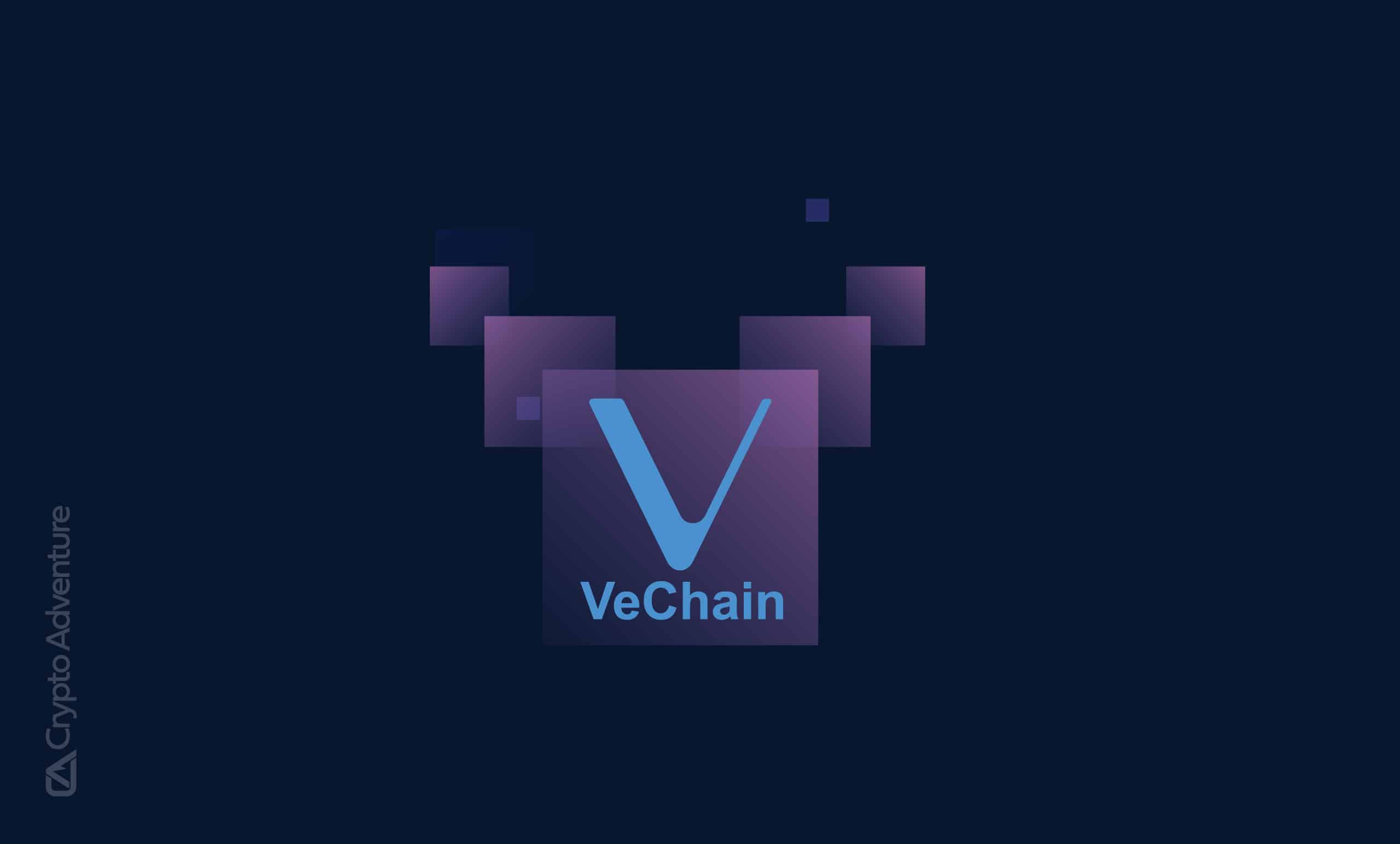 VeChain Thor Price Prediction