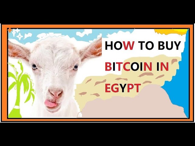 1001fish.ru | Find a best rate to buy Bitcoin in Egypt