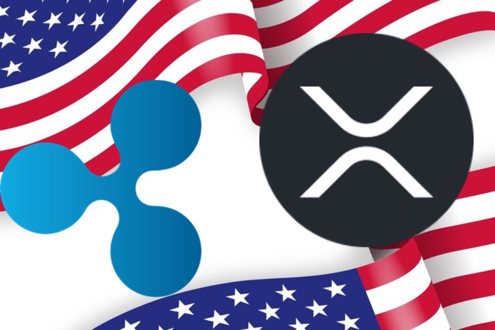 Ripple Ecosystem: What Is The Role Of XRP?