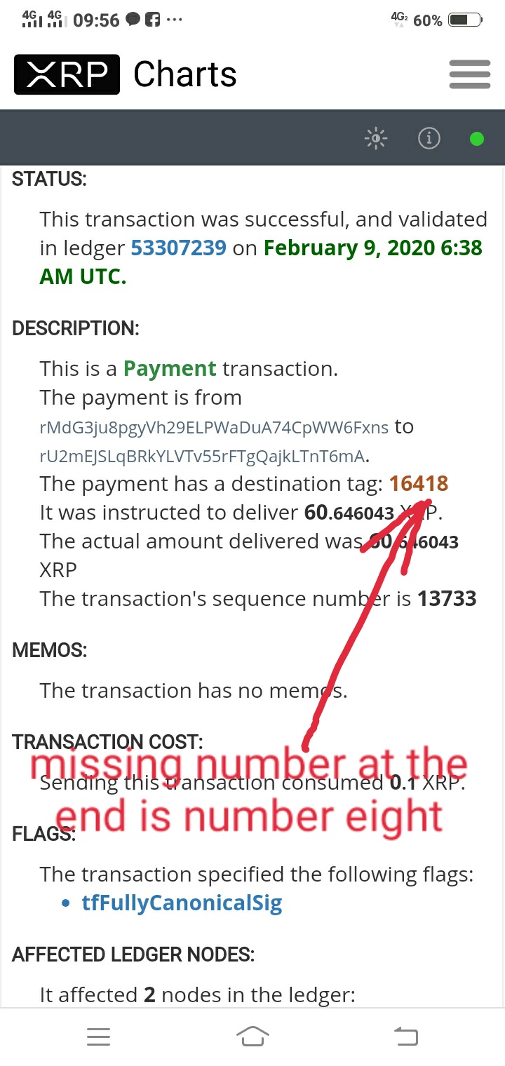 xrp transaction not found - Problem Solving - XRP CHAT