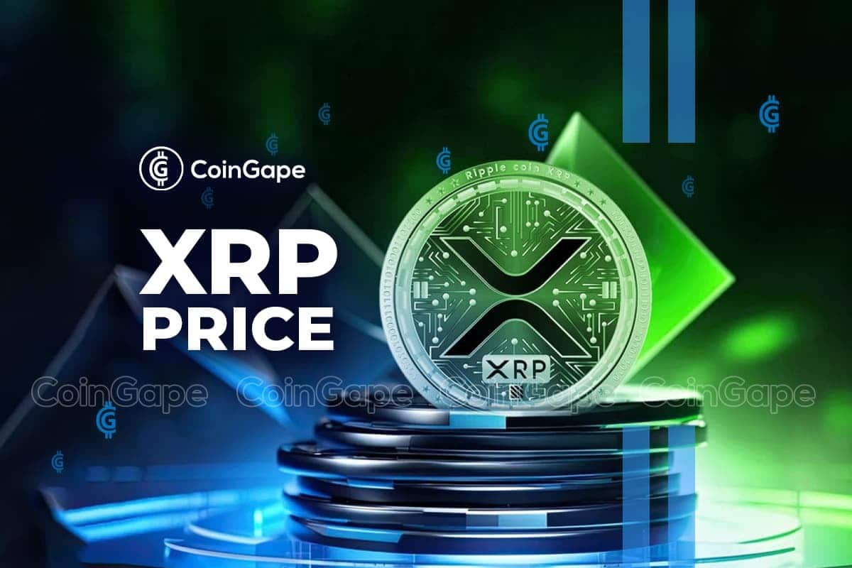 XRP: Long-Term Investors Are Betting Big on Crypto Asset